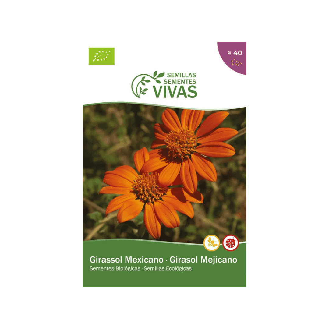 Transforma o teu jardim num espetáculo vibrante com as Sementes de Girassol Mexicano Biológicas. Variedade orgânica de Tithonia rotundifolia.