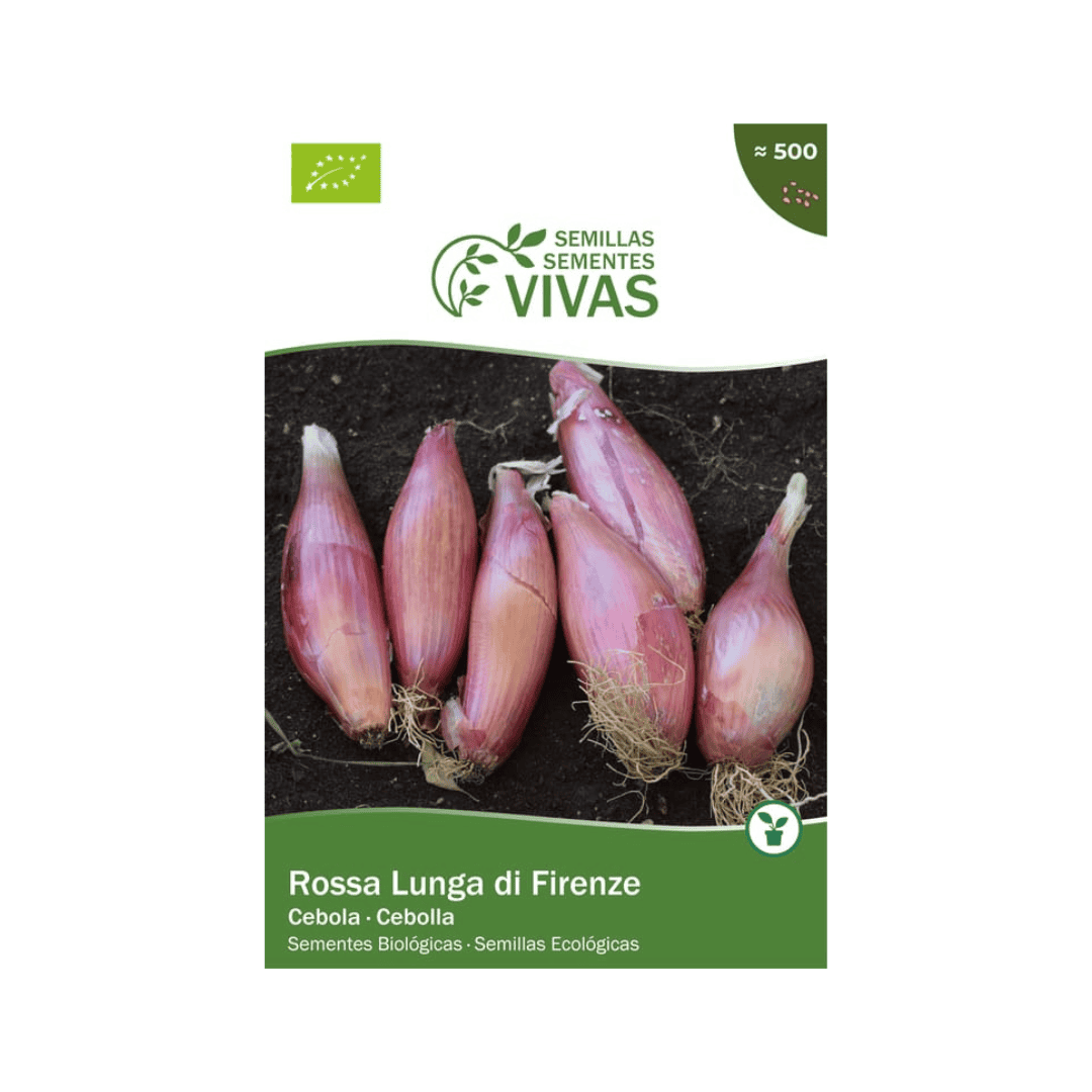 As Sementes de Cebola Rossa Lunga di Firenze da Sementes Vivas oferecem-lhe uma variedade italiana de cebola biológica, com um sabor doce e suave.