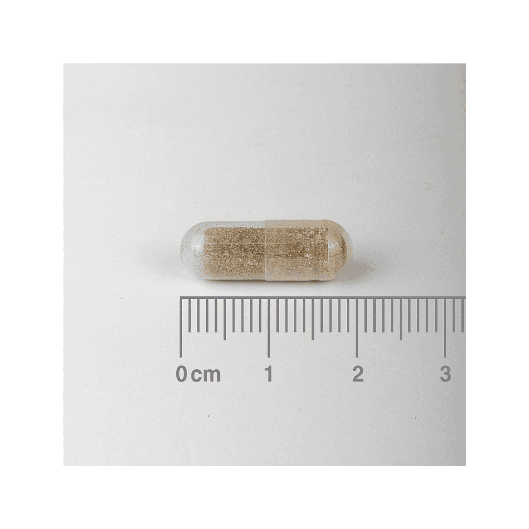 Ashwagandha 6000mg 60 Cápsulas Lamberts