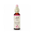 Pine Floral de Bach 20 ml em frasco conta-gotas para promover a aceitação e o equilíbrio emocional.