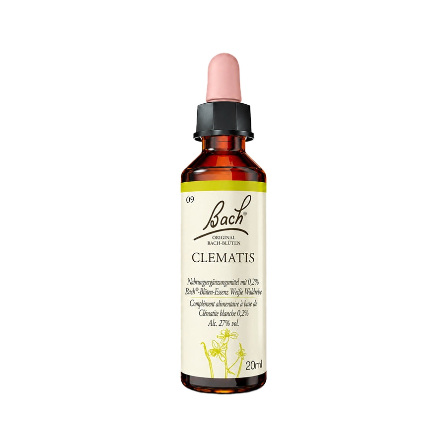 Clematis 20ml Floral de Bach, essência floral de Clematis vitalba em frasco conta-gotas.