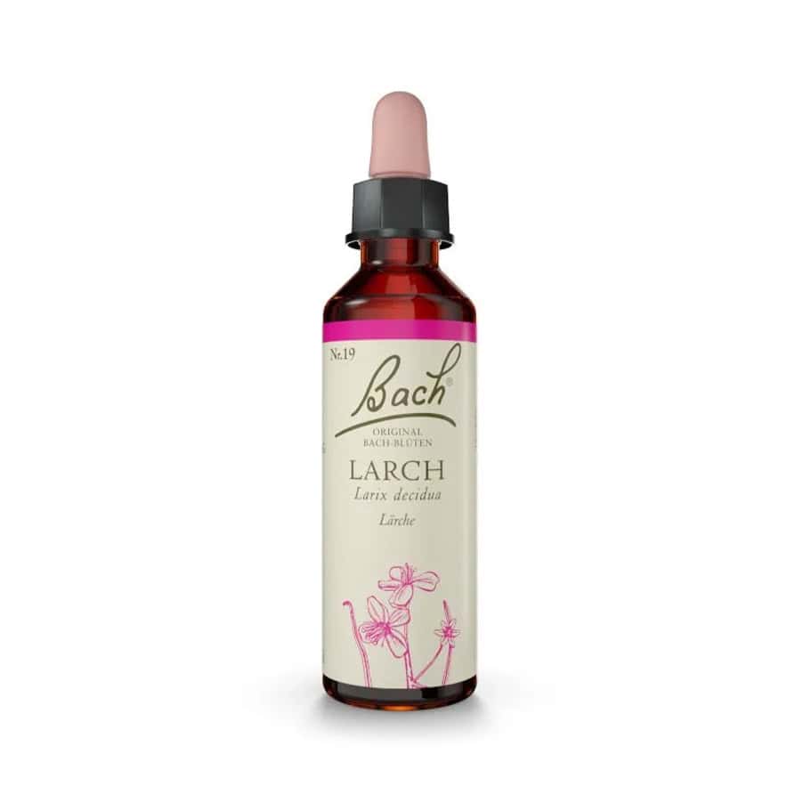 Larch Floral de Bach 20 ml em frasco conta-gotas para confiança e segurança emocional.